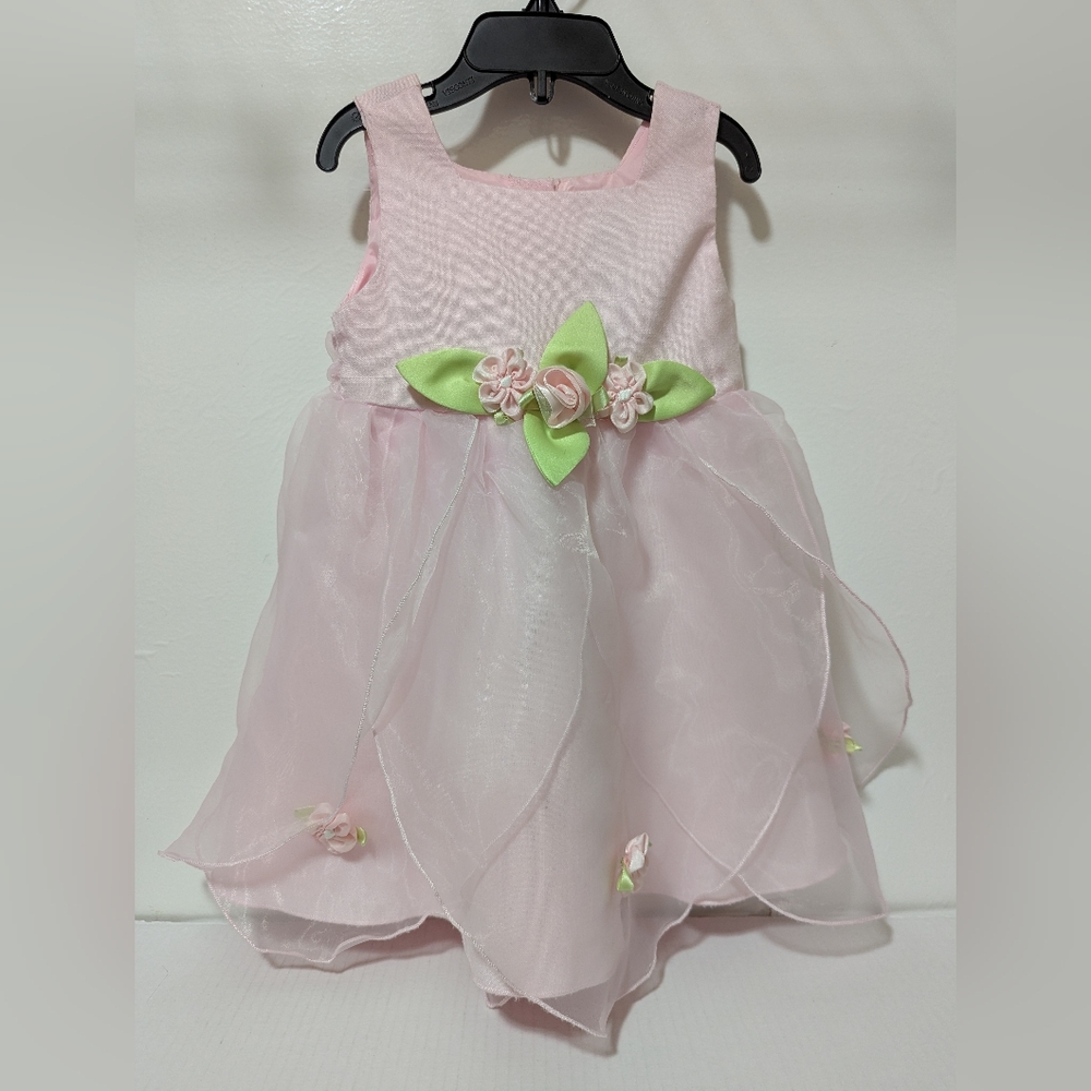 SZ 2T Youngland Toddler Girls Sleeveless Pink & Green Rose Applique Tulle Dress